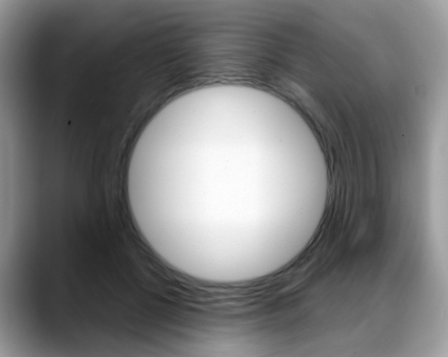X0000088880552200706080743