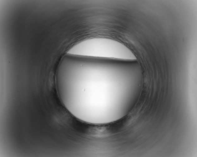 X0000088880554200706080743