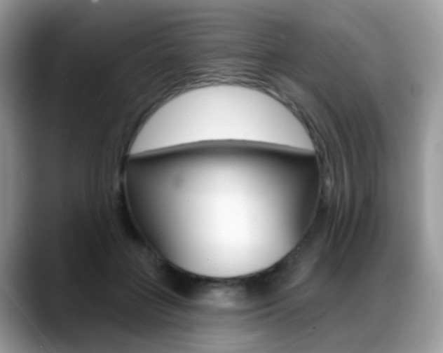 X0000088880555200706080743