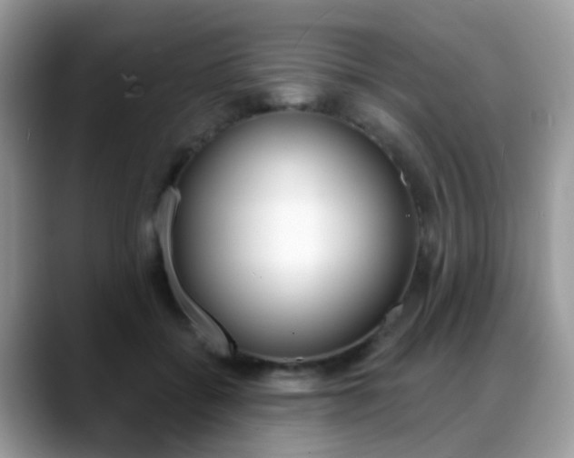 X0000088880556200706080743