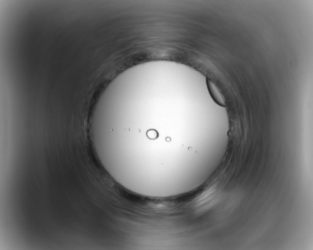 X0000088880557200706080743