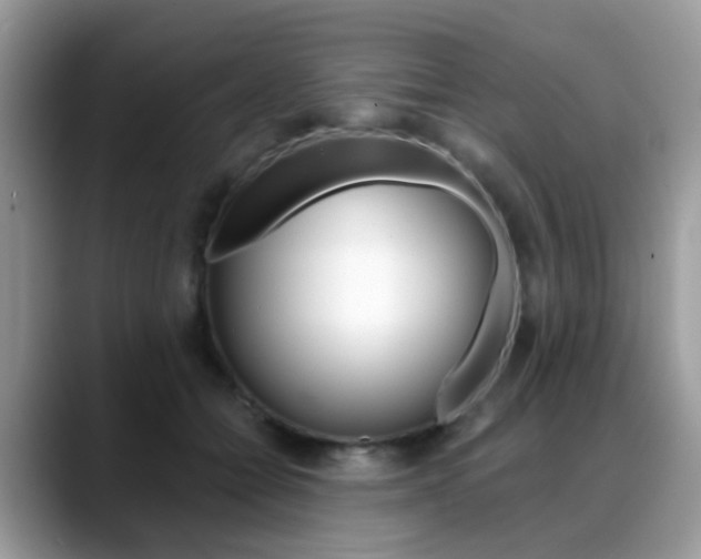 X0000088880558200706080743
