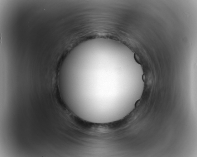 X0000088880559200706080743