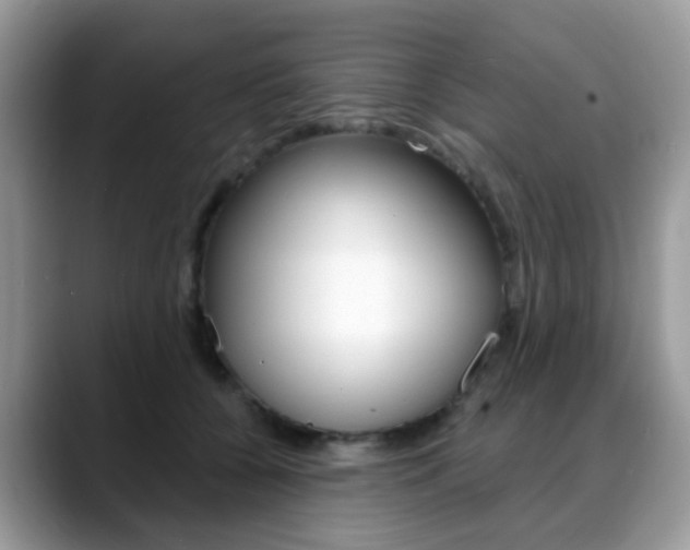 X0000088880560200706080743