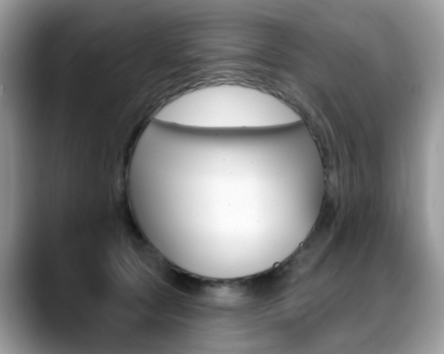 X0000088880561200706080743