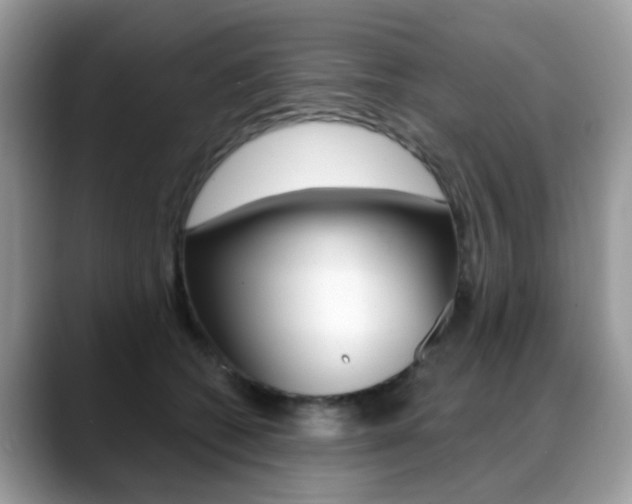 X0000088880562200706080743