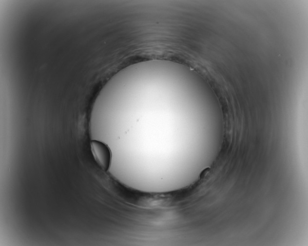 X0000088880563200706080743