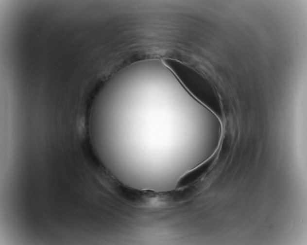 X0000088880564200706080743