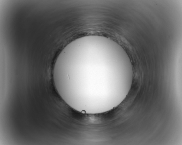 X0000088880565200706080743