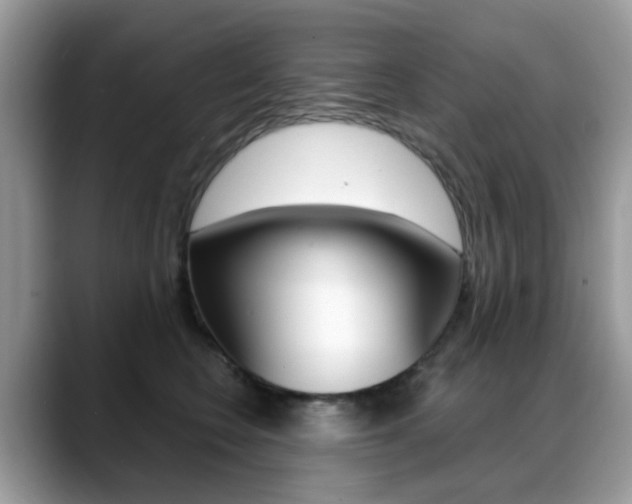 X0000088880566200706080743