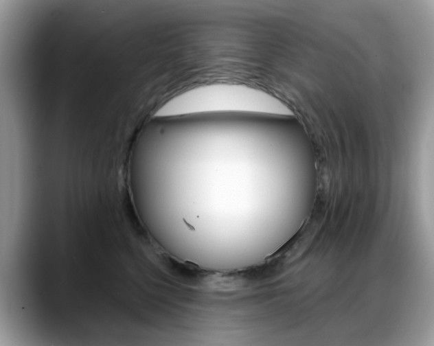 X0000088880568200706080743