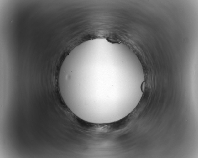 X0000088880569200706080743