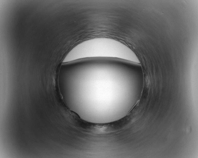 X0000088880570200706080743