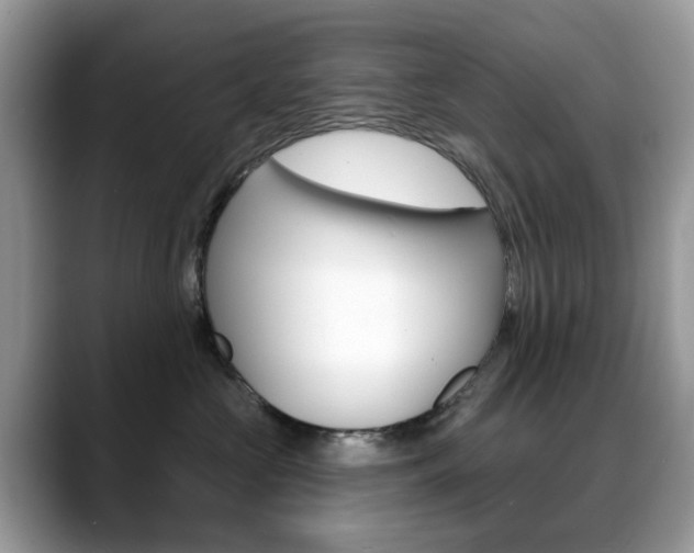 X0000088880573200706080743