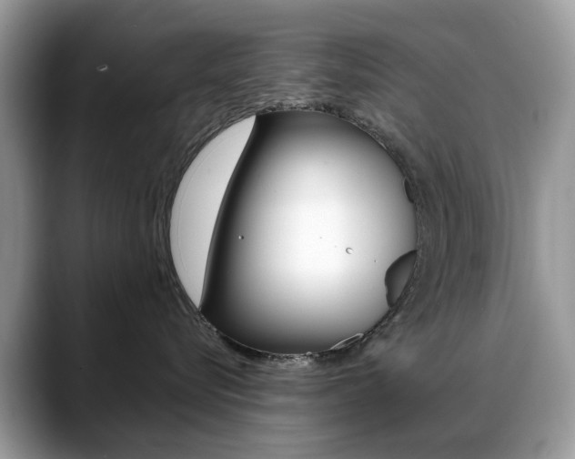 X0000088880576200706080743