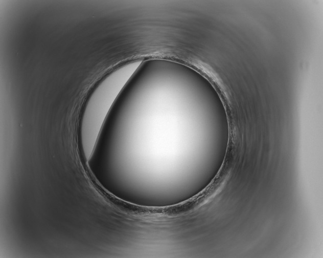 X0000088880577200706080743