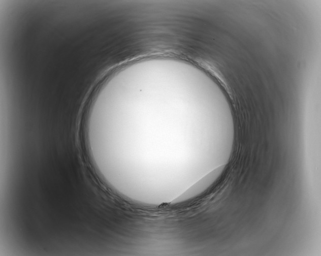 X0000088880579200706080743