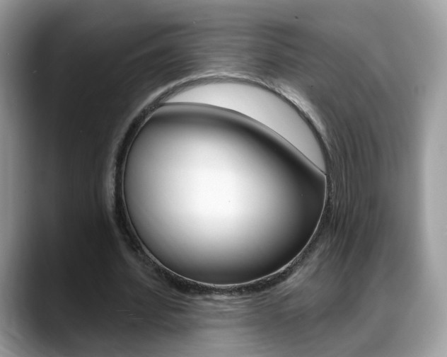 X0000088880580200706080743