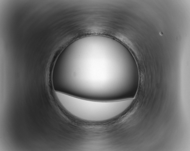 X0000088880581200706080743