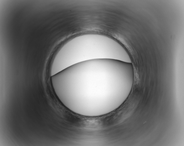 X0000088880583200706080743