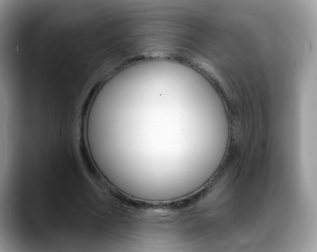 X0000088880586200706080743