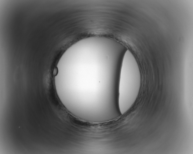 X0000088880591200706080742