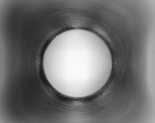X0000088880592200706080742