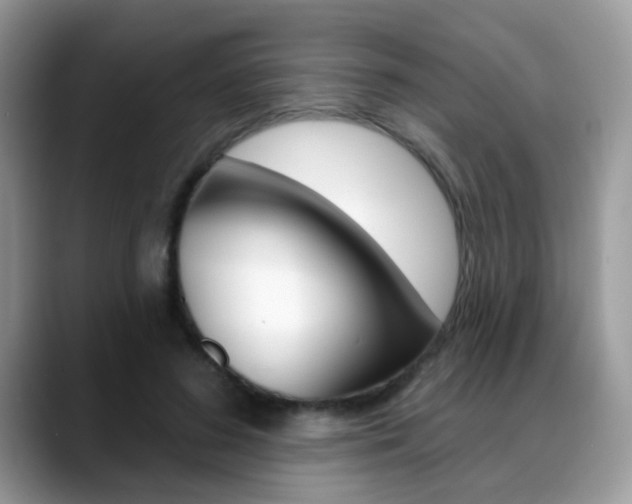 X0000088880596200706080742
