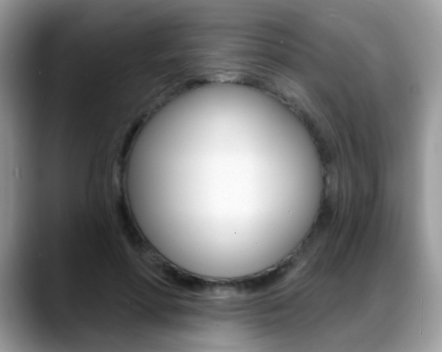 X0000088880598200706080742