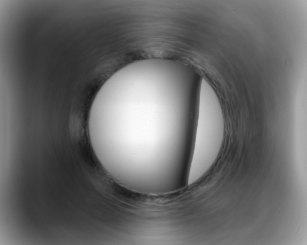 X0000088880599200706080742