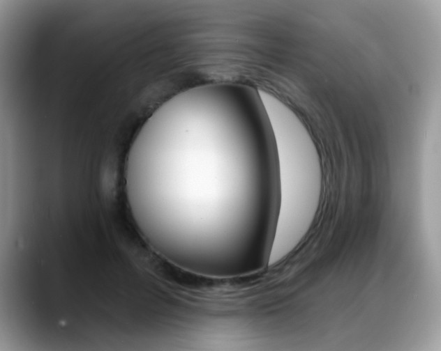 X0000088880600200706080742