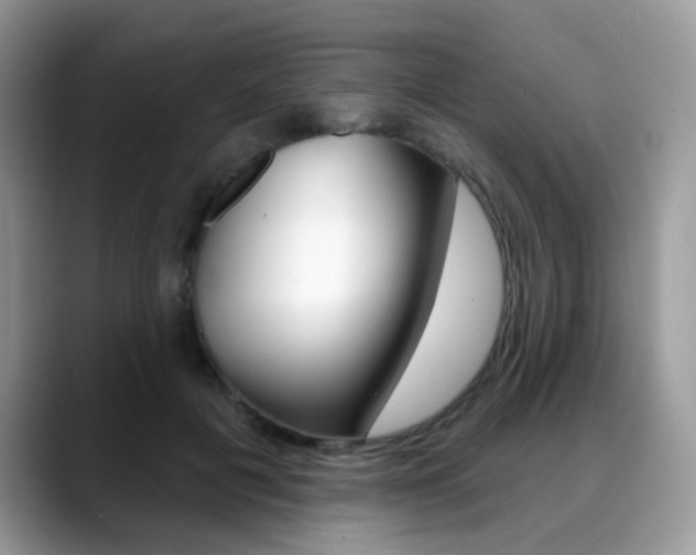 X0000088880601200706080742