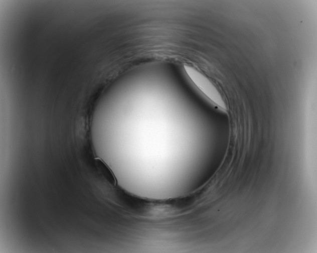 X0000088880605200706080742
