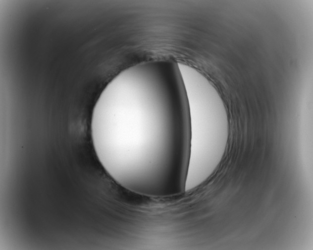 X0000088880608200706080742