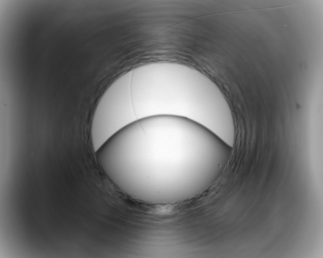 X0000088880609200706080742