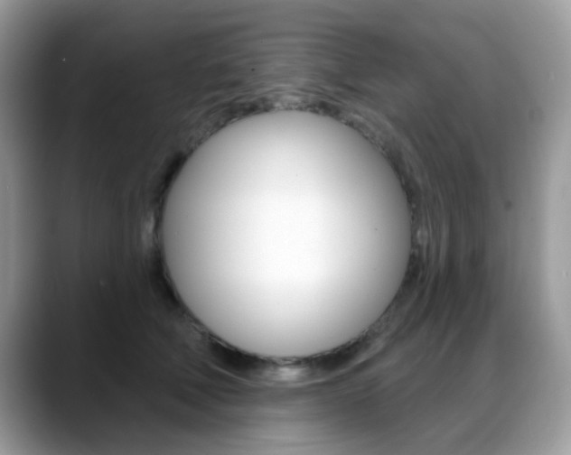 X0000088880610200706080742