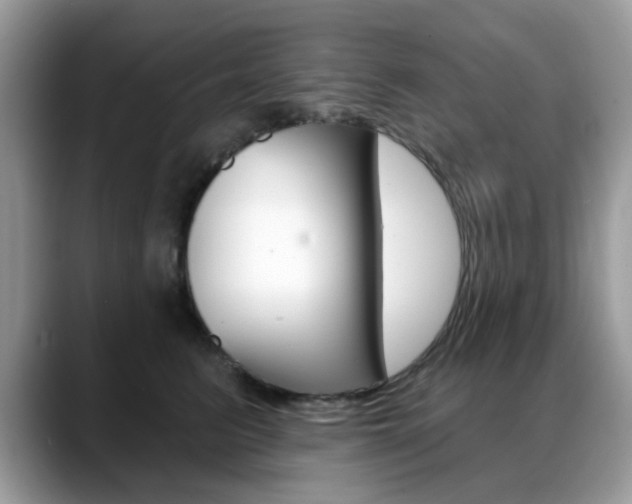 X0000088880615200706080742