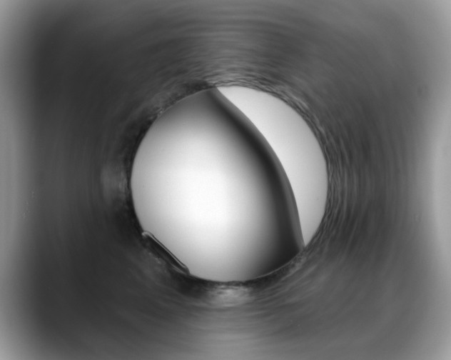 X0000088880617200706080742