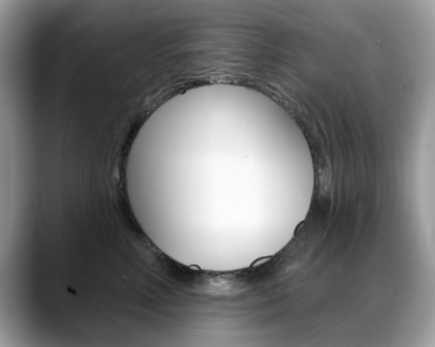 X0000088880618200706080742