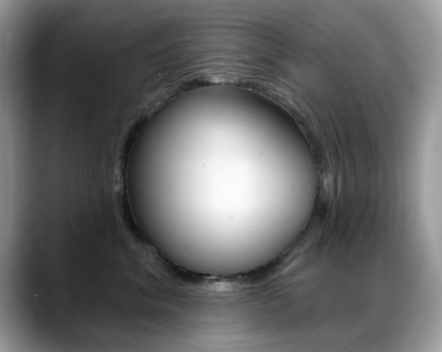 X0000088880620200706080742
