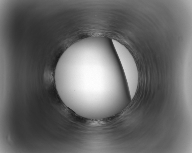 X0000088880621200706080742
