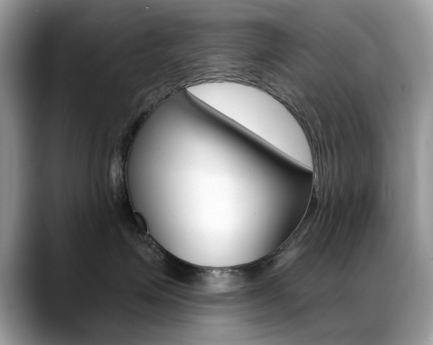 X0000088880623200706080742