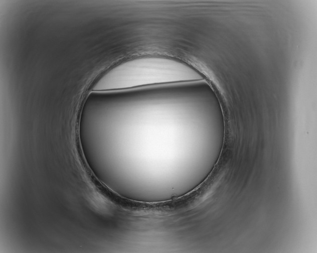 X0000088880625200706080741