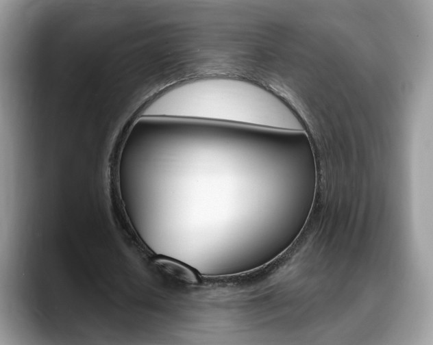 X0000088880626200706080741