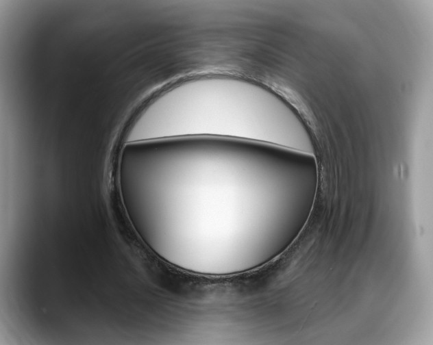 X0000088880628200706080741