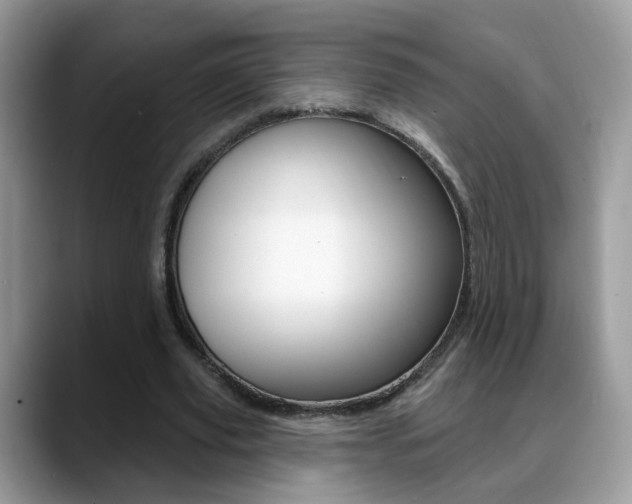 X0000088880629200706080741