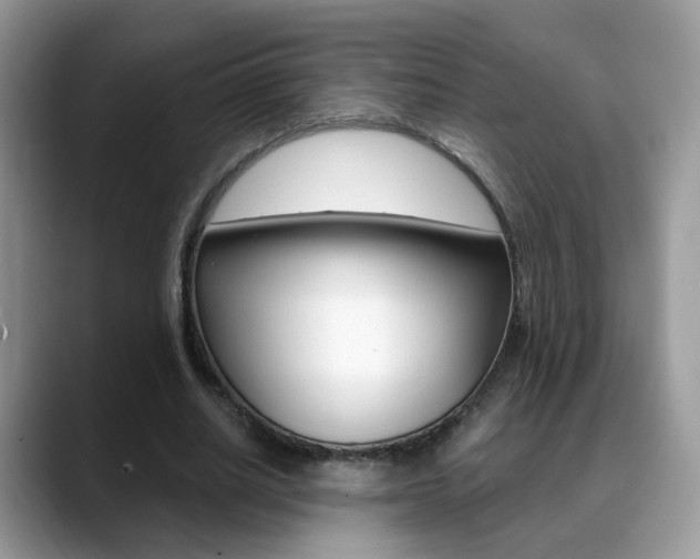 X0000088880630200706080742