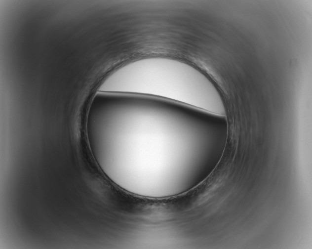 X0000088880631200706080742