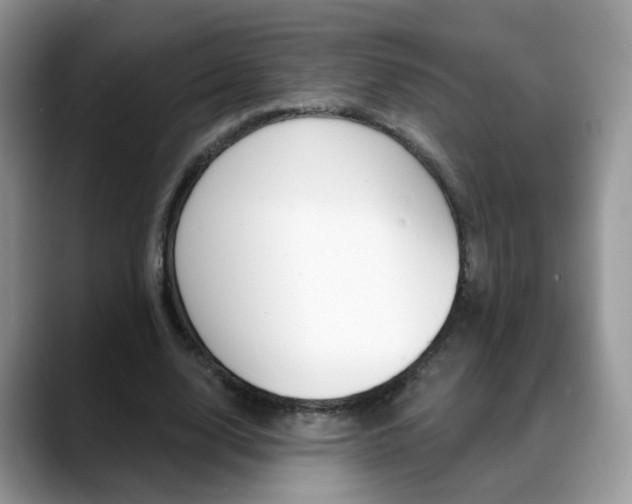 X0000088880632200706080742