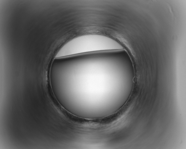 X0000088880633200706080742